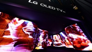 LG OLED Open Frame