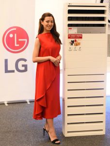 AC Floor Standing LG